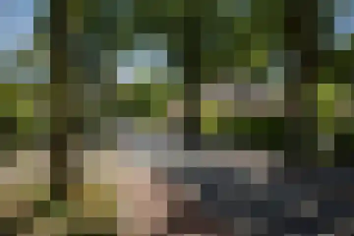 Oranjelaan 90 Diepenveen thumbnail 52