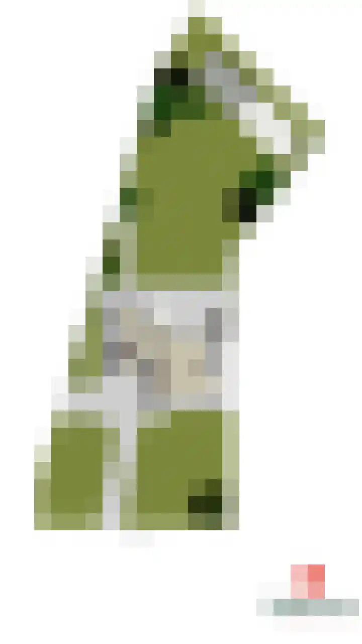 Oranjelaan 90 Diepenveen thumbnail 55