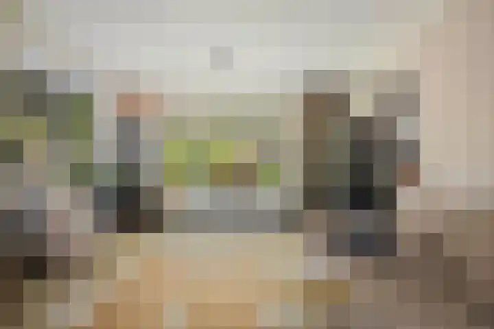 Oranjelaan 90 Diepenveen thumbnail 7
