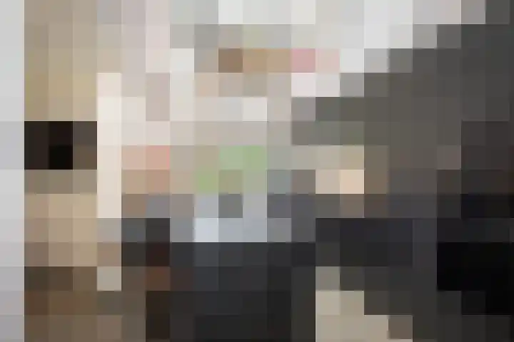 Oranjelaan 90 Diepenveen thumbnail 9