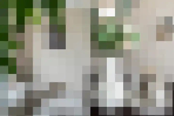 Oranjelaan 91 Zoetermeer thumbnail 12