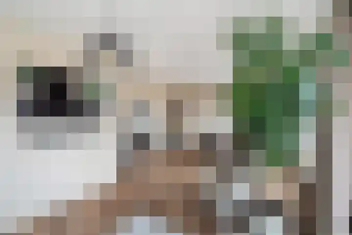 Oranjelaan 91 Zoetermeer thumbnail 13
