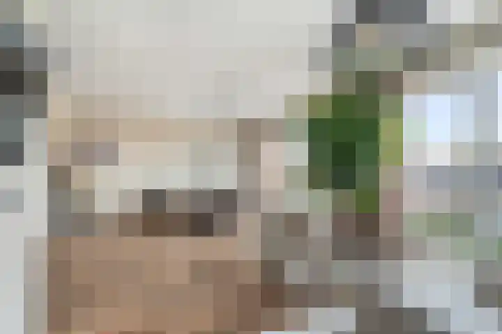 Oranjelaan 91 Zoetermeer thumbnail 14