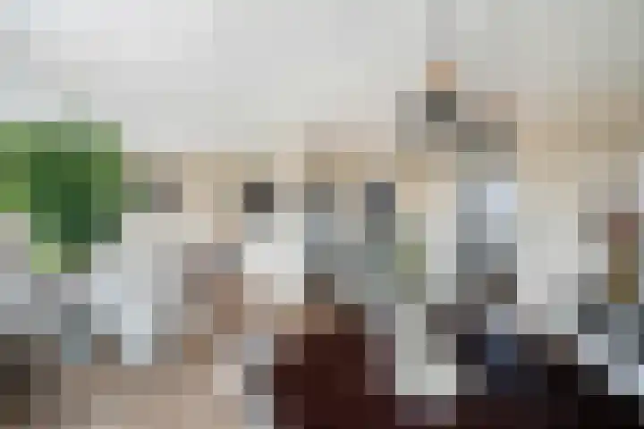 Oranjelaan 91 Zoetermeer thumbnail 18