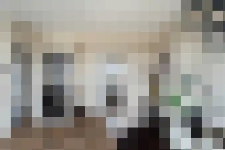 Oranjelaan 91 Zoetermeer thumbnail 19