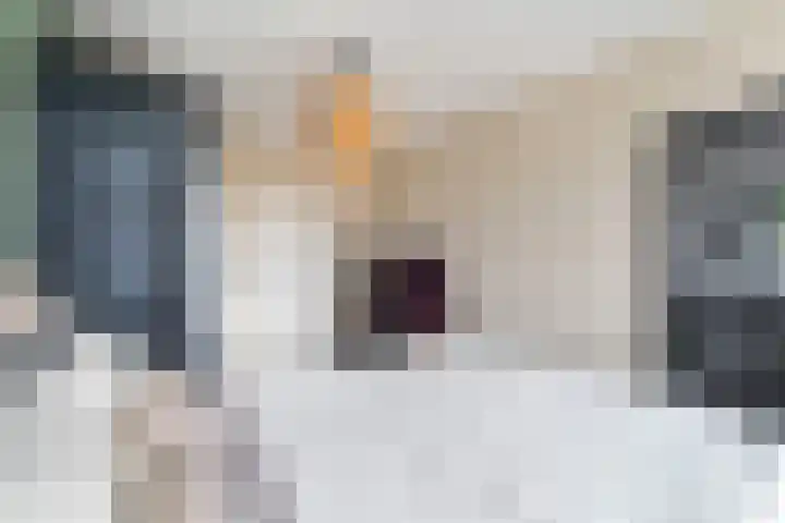 Oranjelaan 91 Zoetermeer thumbnail 22