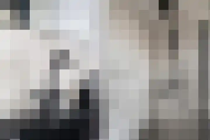 Oranjelaan 91 Zoetermeer thumbnail 24