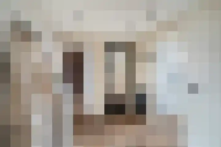Oranjelaan 91 Zoetermeer thumbnail 27