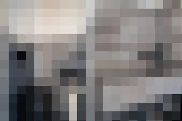 Oranjelaan 91 Zoetermeer thumbnail 34