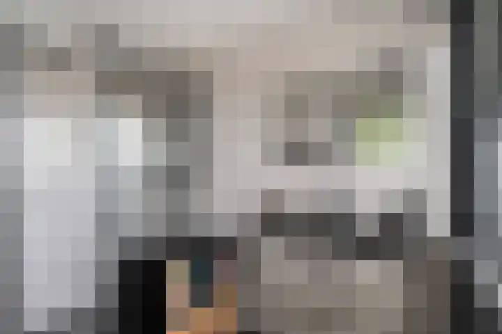 Oranjelaan 91 Zoetermeer thumbnail 4