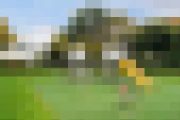 Oranjelaan 91 Zoetermeer thumbnail 41