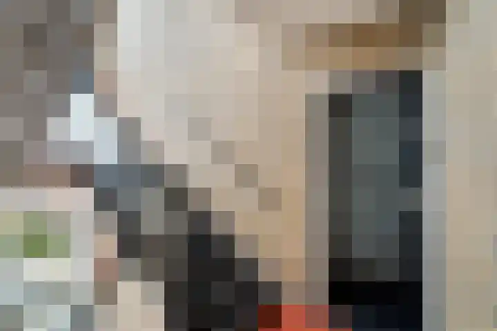 Oranjelaan 91 Zoetermeer thumbnail 8