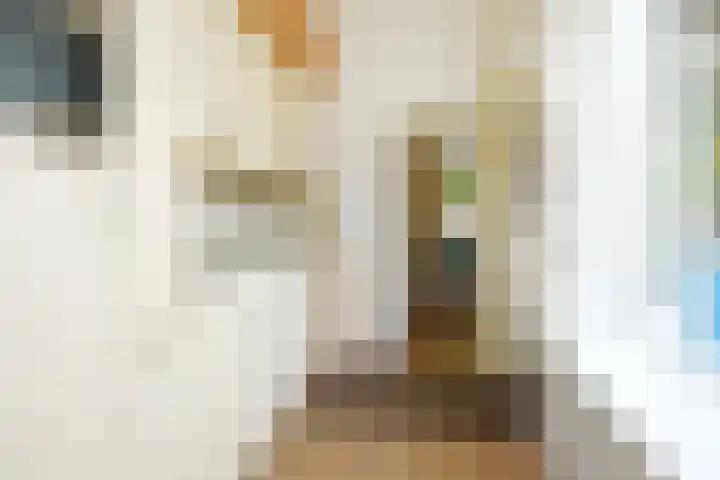 Oranjelust 19 Voorburg thumbnail 10