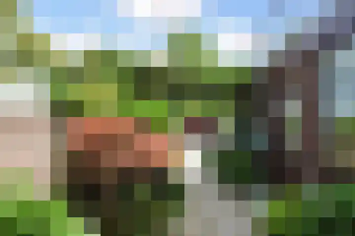 Oranjelust 19 Voorburg thumbnail 16