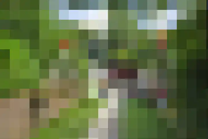Oranjelust 19 Voorburg thumbnail 17