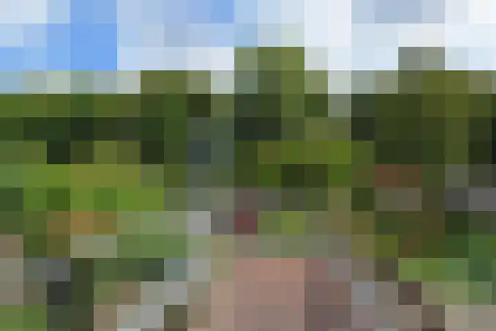Oranjelust 19 Voorburg thumbnail 21