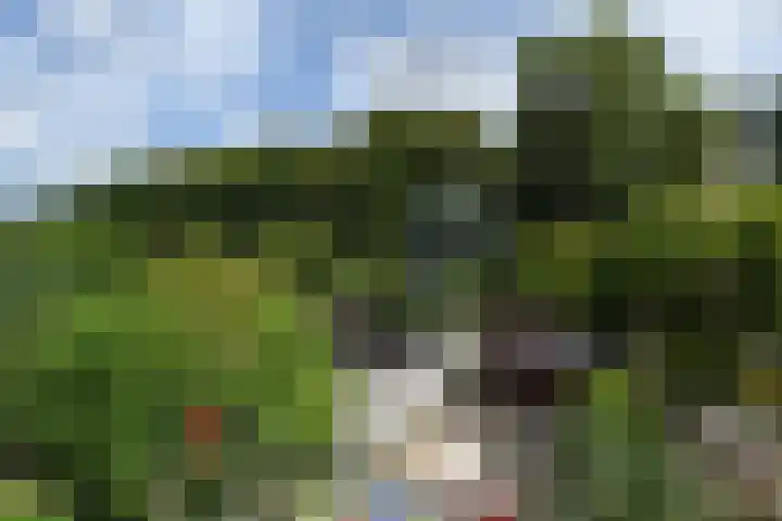 Oranjelust 19 Voorburg thumbnail 22