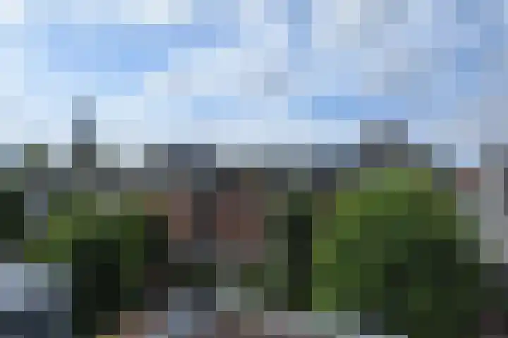 Oranjelust 19 Voorburg thumbnail 32