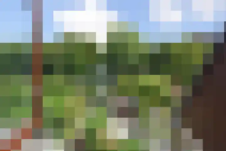 Oranjelust 19 Voorburg thumbnail 34
