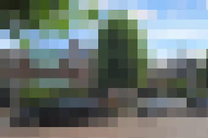 Oranjelust 19 Voorburg thumbnail 39