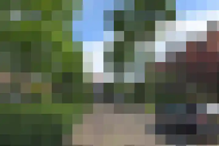 Oranjelust 19 Voorburg thumbnail 41