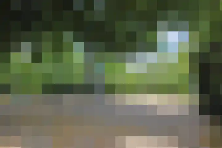 Oranjelust 19 Voorburg thumbnail 42
