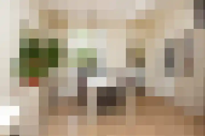 Oranjelust 19 Voorburg thumbnail 5