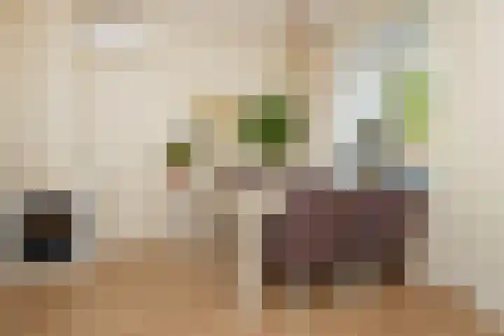 Oranjelust 19 Voorburg thumbnail 6