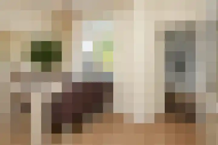 Oranjelust 19 Voorburg thumbnail 7