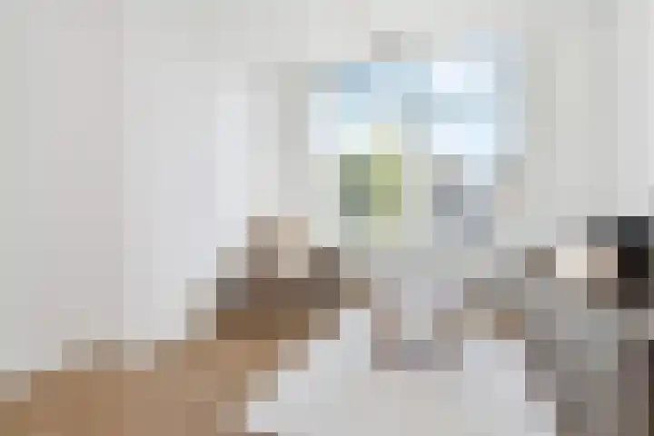 Oranjelust 2 Voorburg thumbnail 10