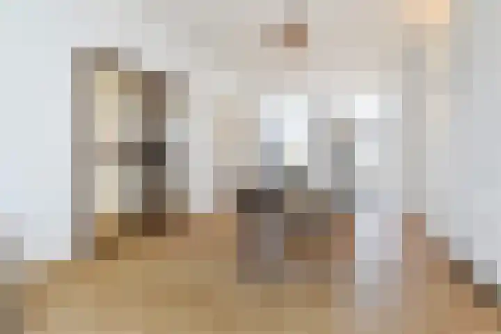 Oranjelust 2 Voorburg thumbnail 13