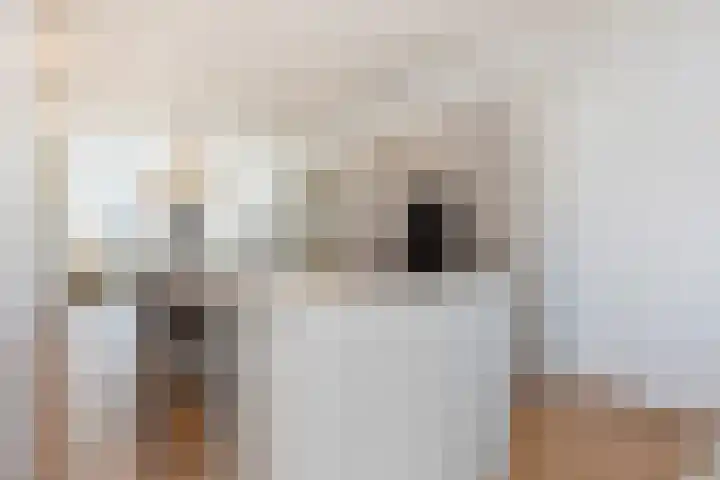 Oranjelust 2 Voorburg thumbnail 16