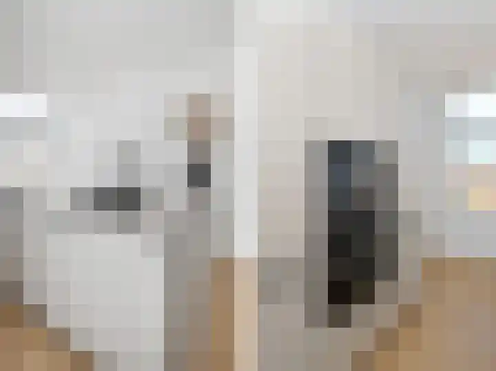 Oranjelust 2 Voorburg thumbnail 19