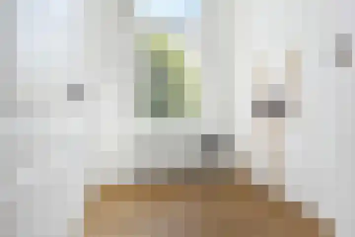 Oranjelust 2 Voorburg thumbnail 29