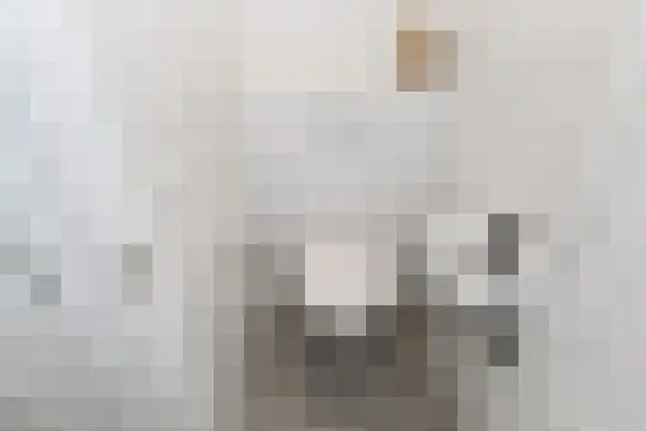 Oranjelust 2 Voorburg thumbnail 30