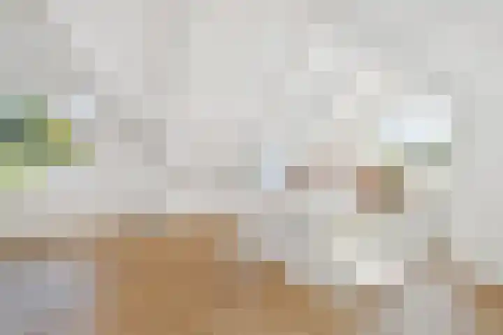 Oranjelust 2 Voorburg thumbnail 32