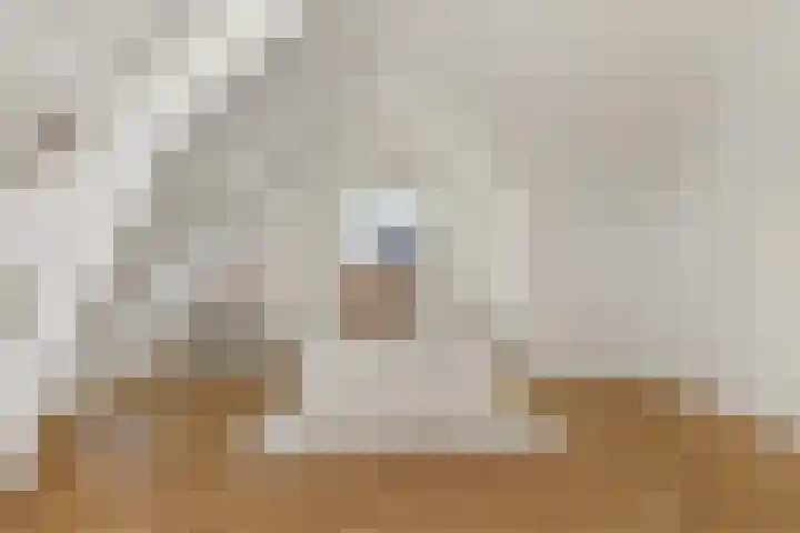 Oranjelust 2 Voorburg thumbnail 34