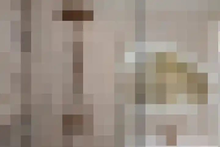 Oranjelust 2 Voorburg thumbnail 39