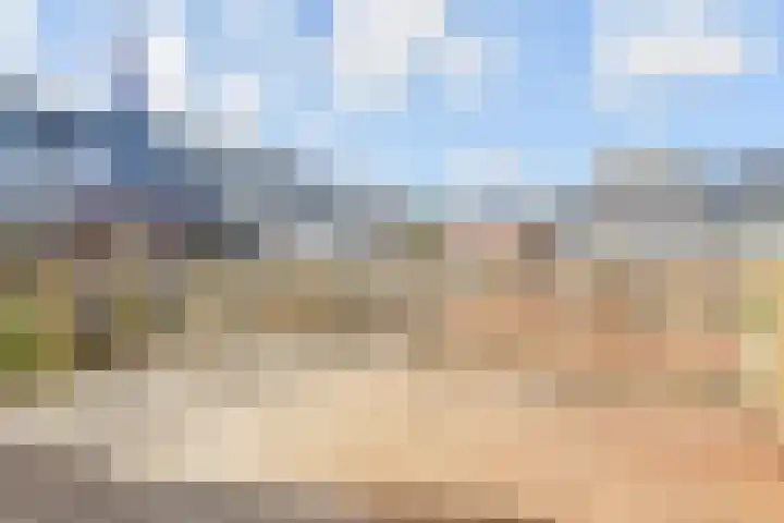 Oranjelust 2 Voorburg thumbnail 4