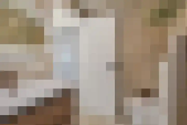 Oranjelust 2 Voorburg thumbnail 41