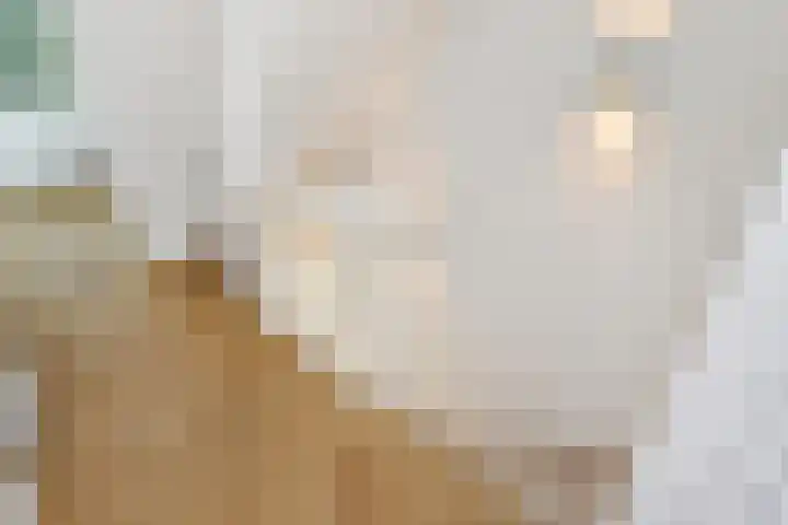 Oranjelust 2 Voorburg thumbnail 42