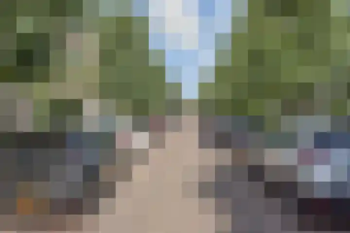 Oranjelust 2 Voorburg thumbnail 46