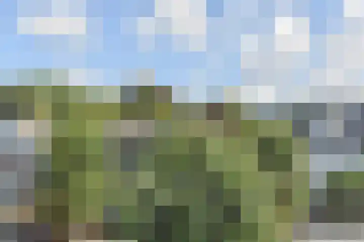 Oranjelust 2 Voorburg thumbnail 47