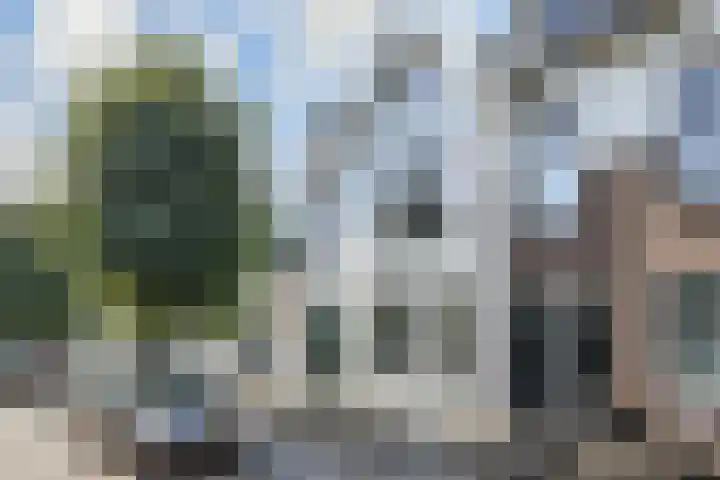 Oranjelust 2 Voorburg thumbnail 48