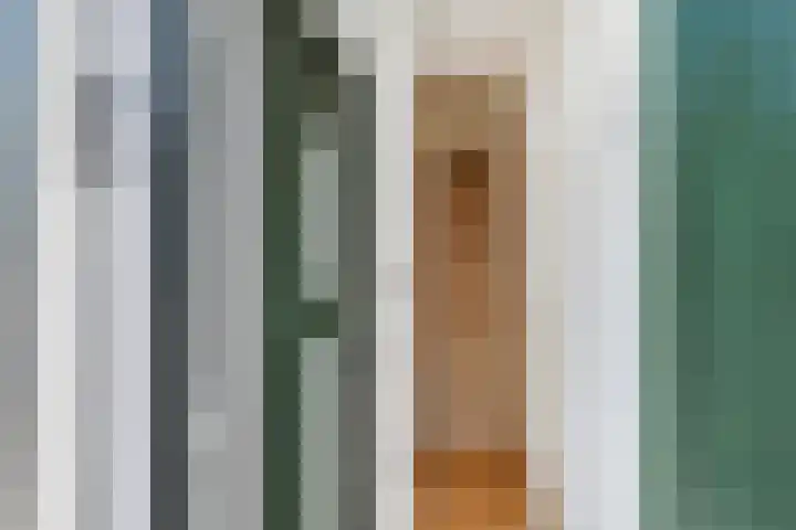 Oranjelust 2 Voorburg thumbnail 49