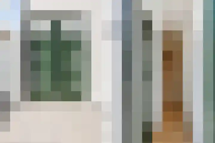 Oranjelust 2 Voorburg thumbnail 6