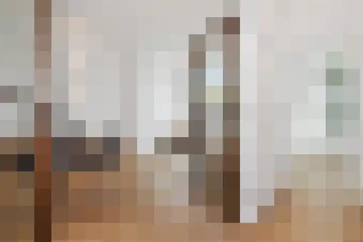 Oranjelust 2 Voorburg thumbnail 8