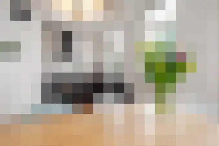 Oranjelust 38 Voorburg thumbnail 22