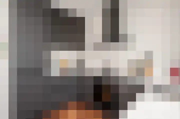 Oranjelust 38 Voorburg thumbnail 26