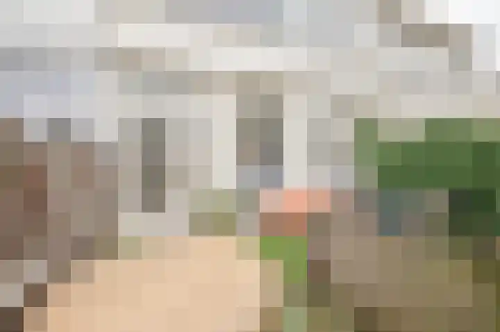 Oranjelust 38 Voorburg thumbnail 31
